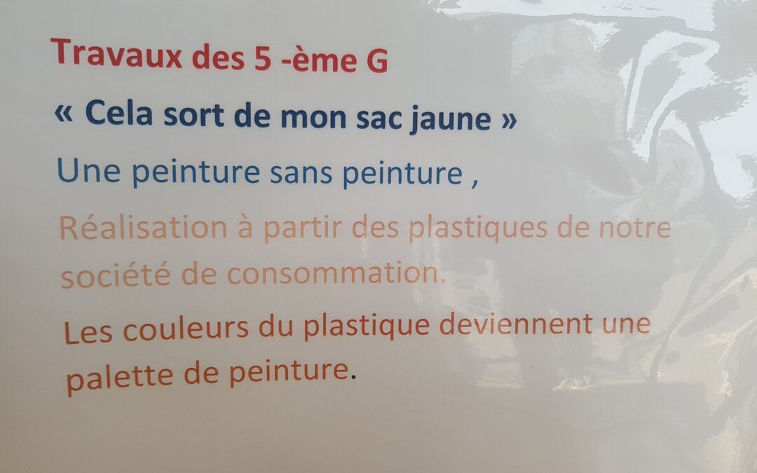 Projet Arts plastiques en classe de 5ème