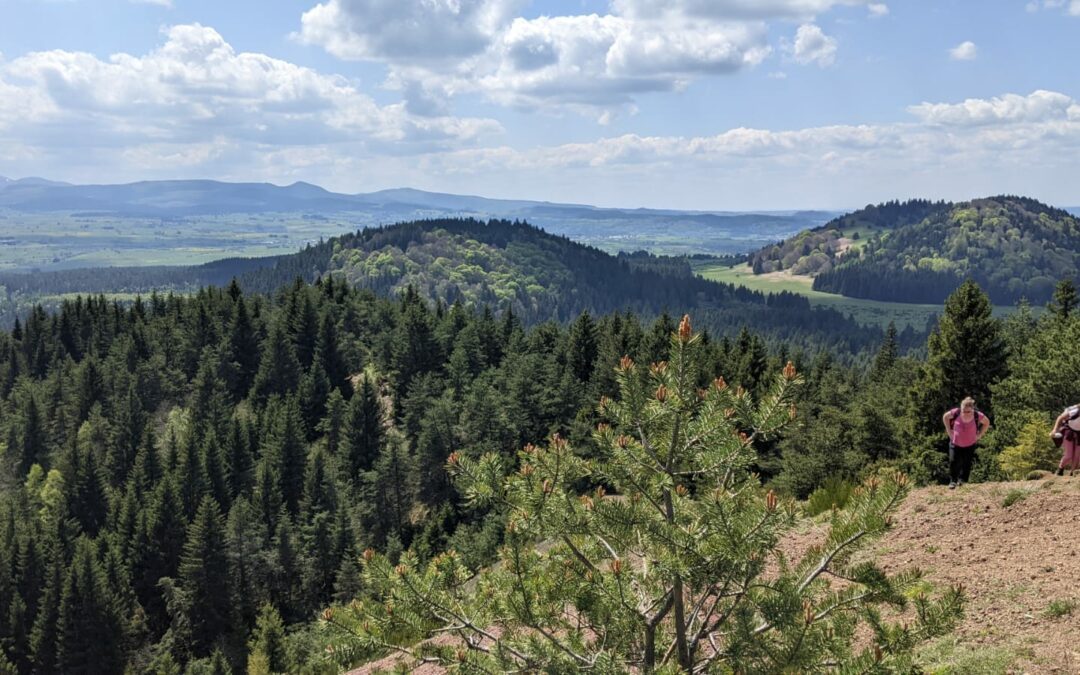 Les 4èmes B/D/E/F à la découverte de l’Auvergne