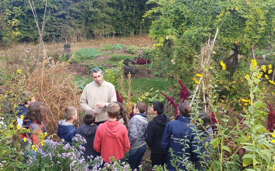 Niveau 5ème : sortie pour les élèves de l’Atelier Jardin