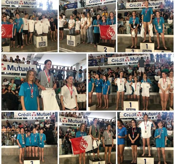 AS St Jo sports : National promotionnel de Natation